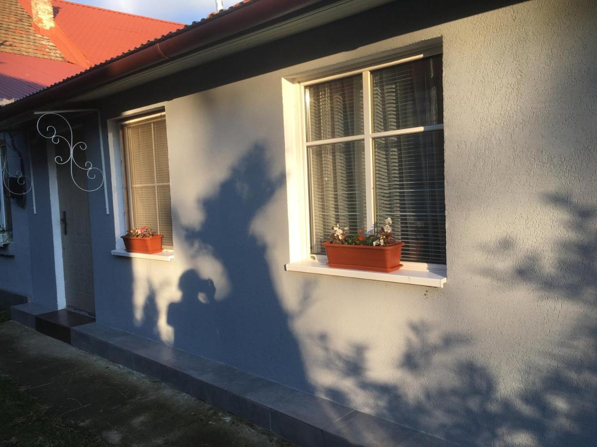 Stefanika 42\5\2 Berehove (Transcarpathia) Exterior photo